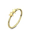 Dual Stars Nose Rings NSKR-06